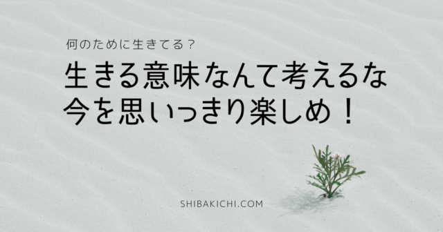 生きる意味がわからない それが正解 だから悩まず今を思いっきり楽しめ